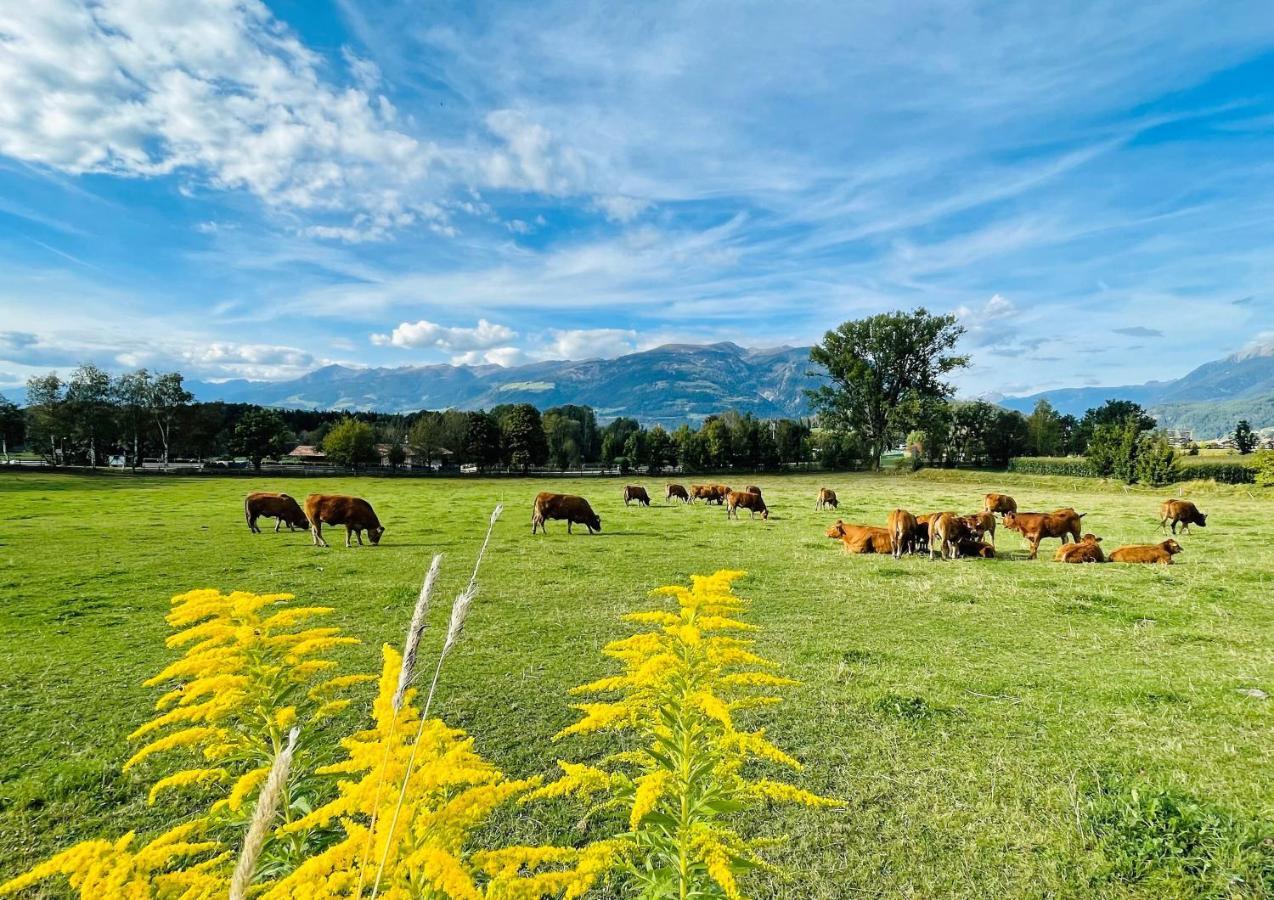 Residence Untermoarhof Brunico Dış mekan fotoğraf